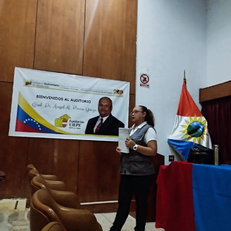 Imagen adicional