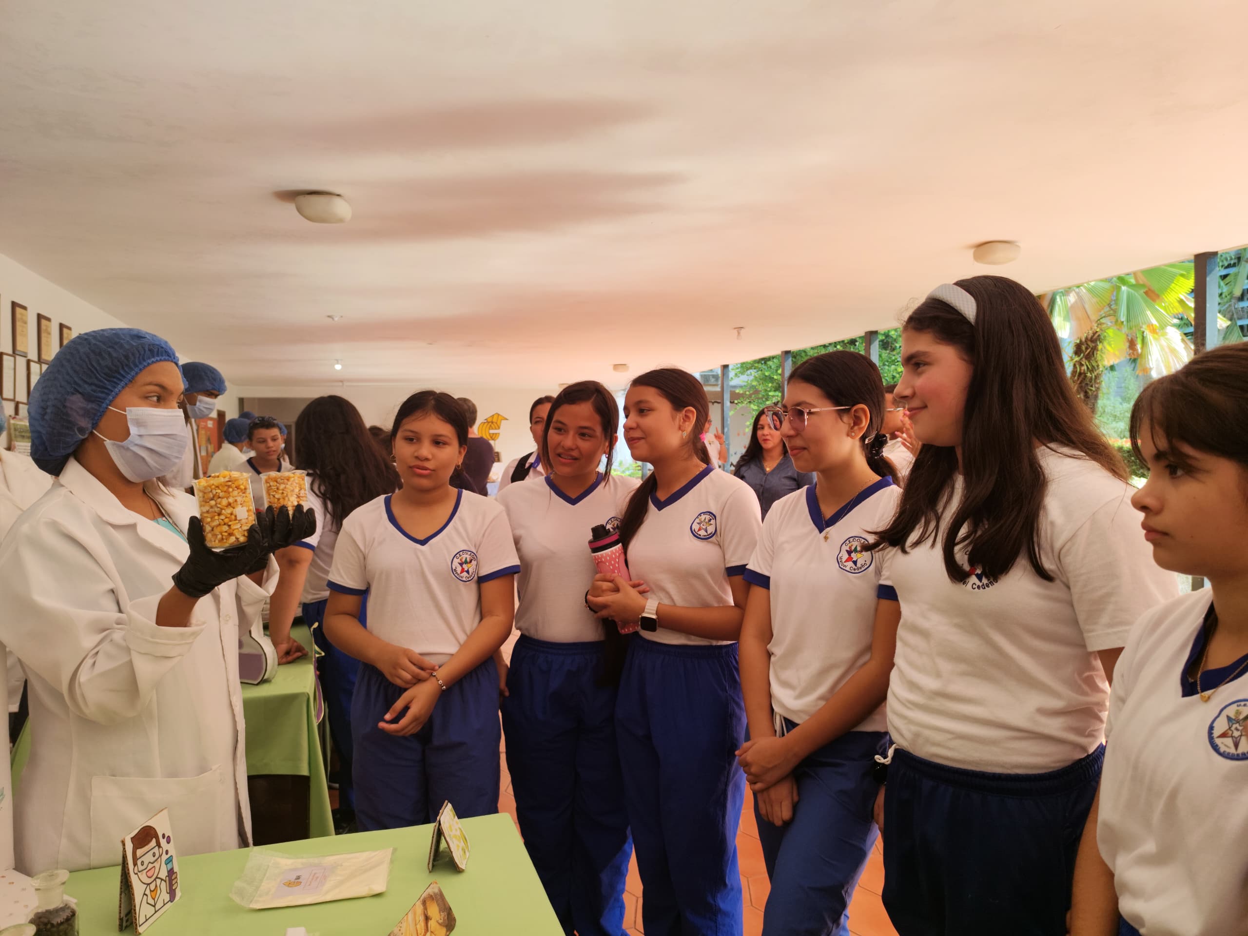Imagen adicional