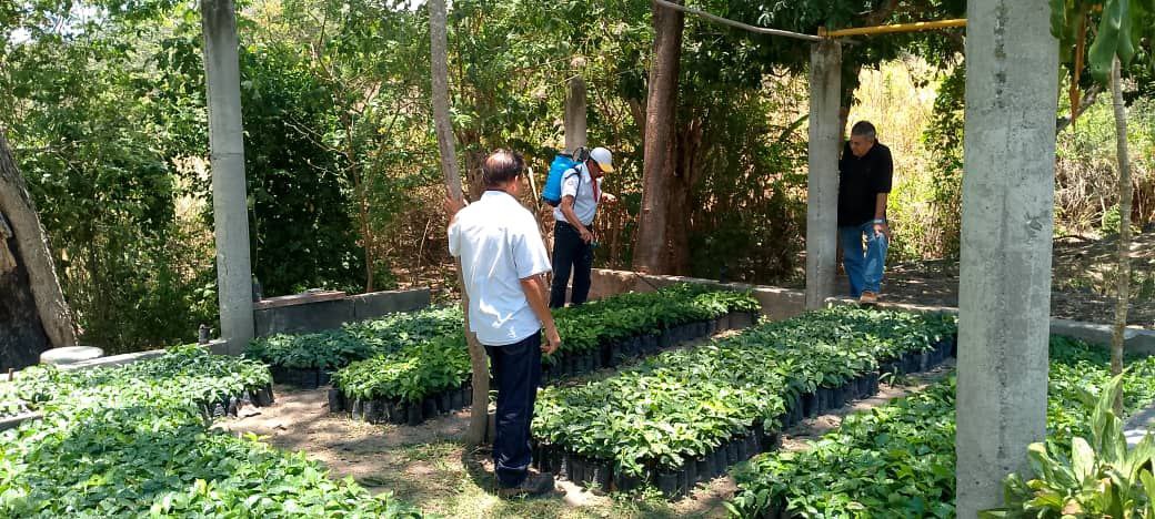 La Fundación CIEPE dicta Taller Manejo de Vivero de Café, Cacao: Aplicación de Bioinsumos a Productores del Cambur I Sector Culantrillo en Independencia