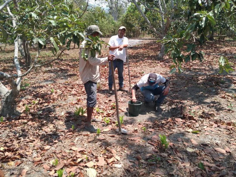 Divisiones de la Fundación CIEPE dictan Taller Muestreo de Suelos con Fines Agrícolas en sector San Pedro