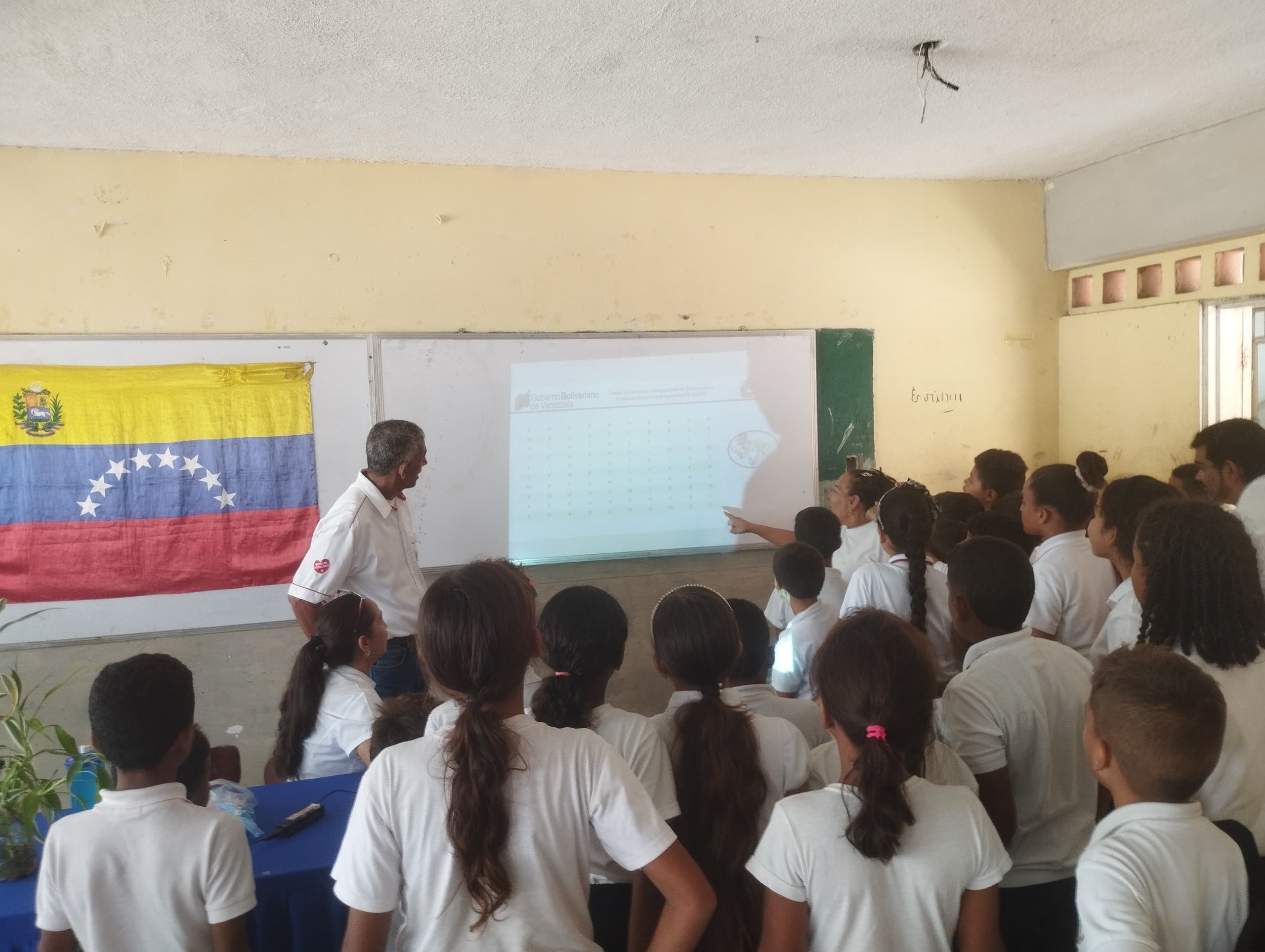 Imagen adicional