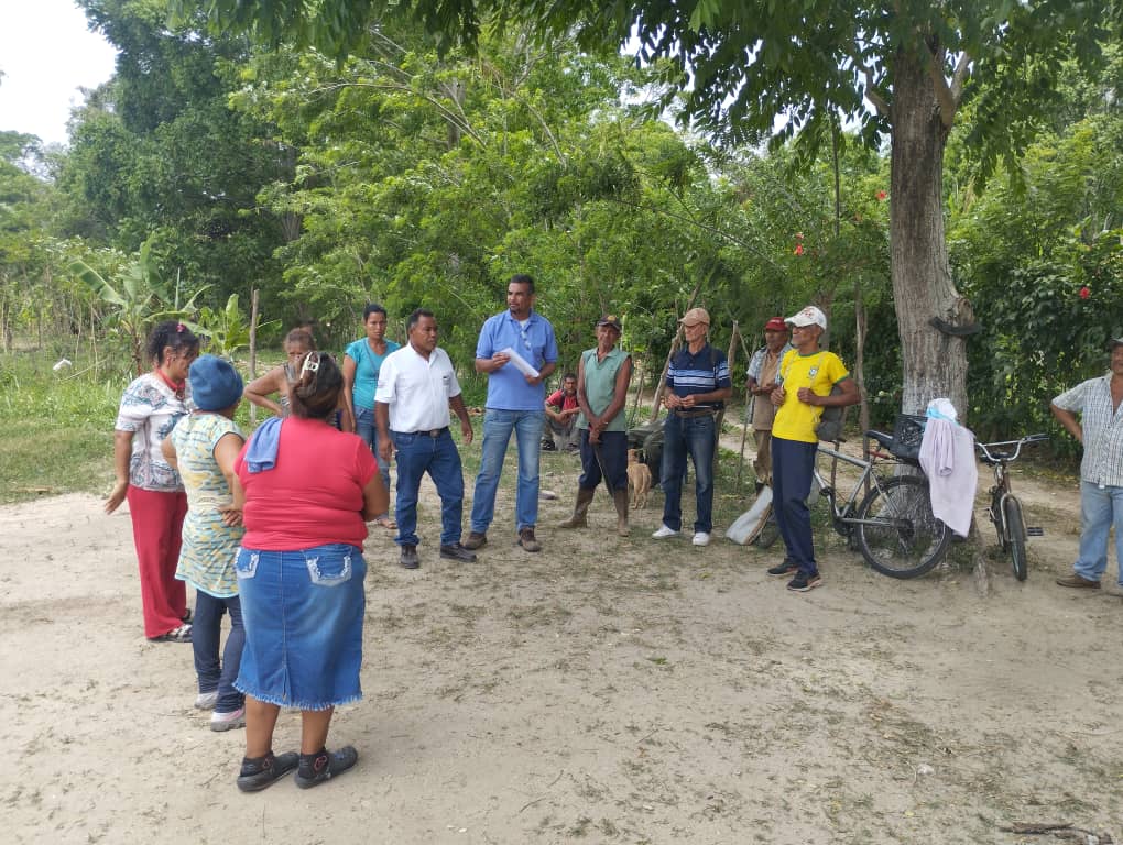 Imagen adicional