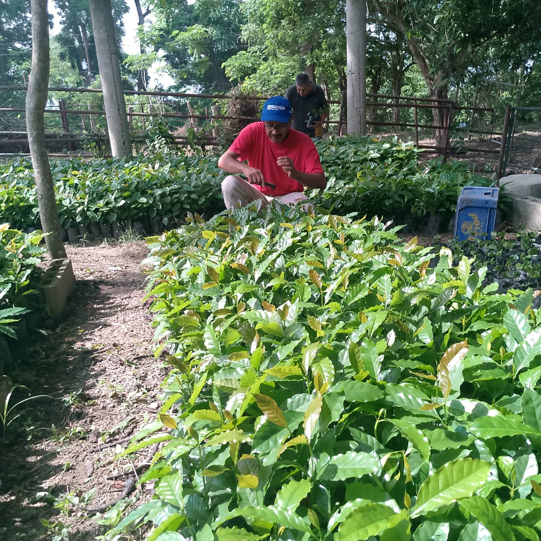 Fundación CIEPE sigue adelante con la Agenda Programática Anual (APA) 2024 para llevar soluciones sostenibles a productores y productoras de la región.