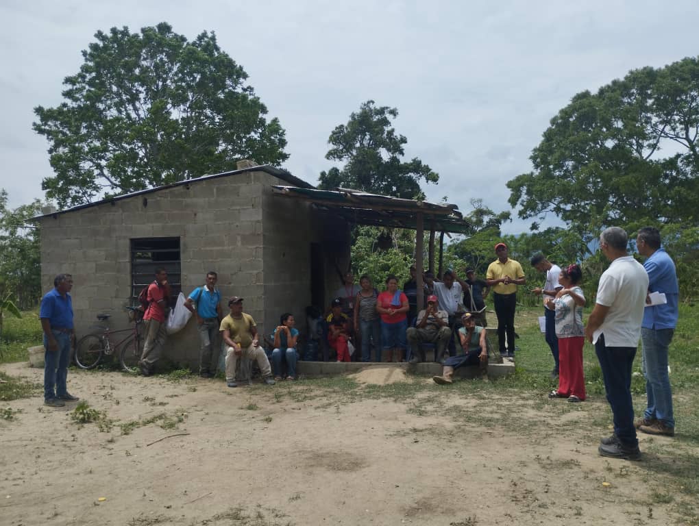 Imagen adicional