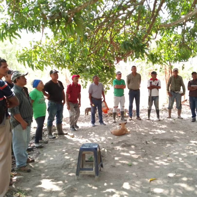 Fundación CIEPE socializa Agenda Programática Anual con Productores de Jobito I en San Felipe