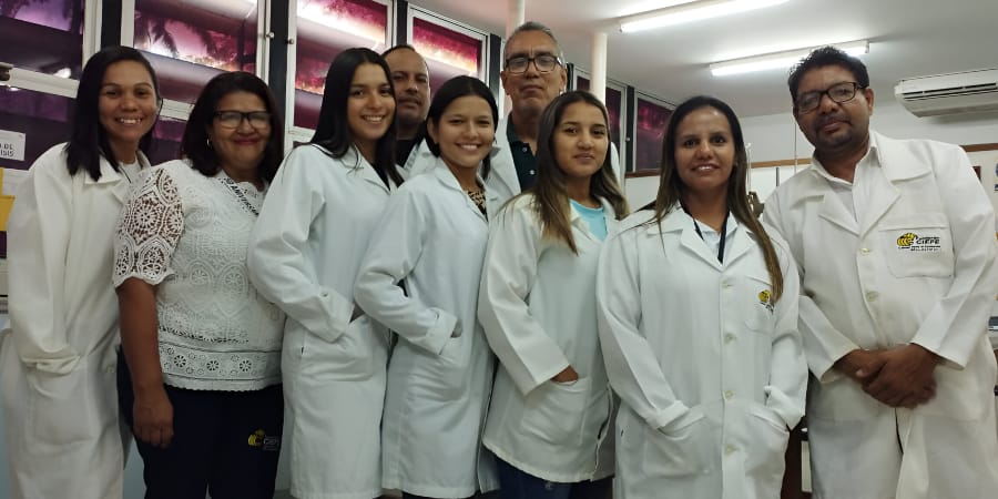 Calidad Hacia La Excelencia.