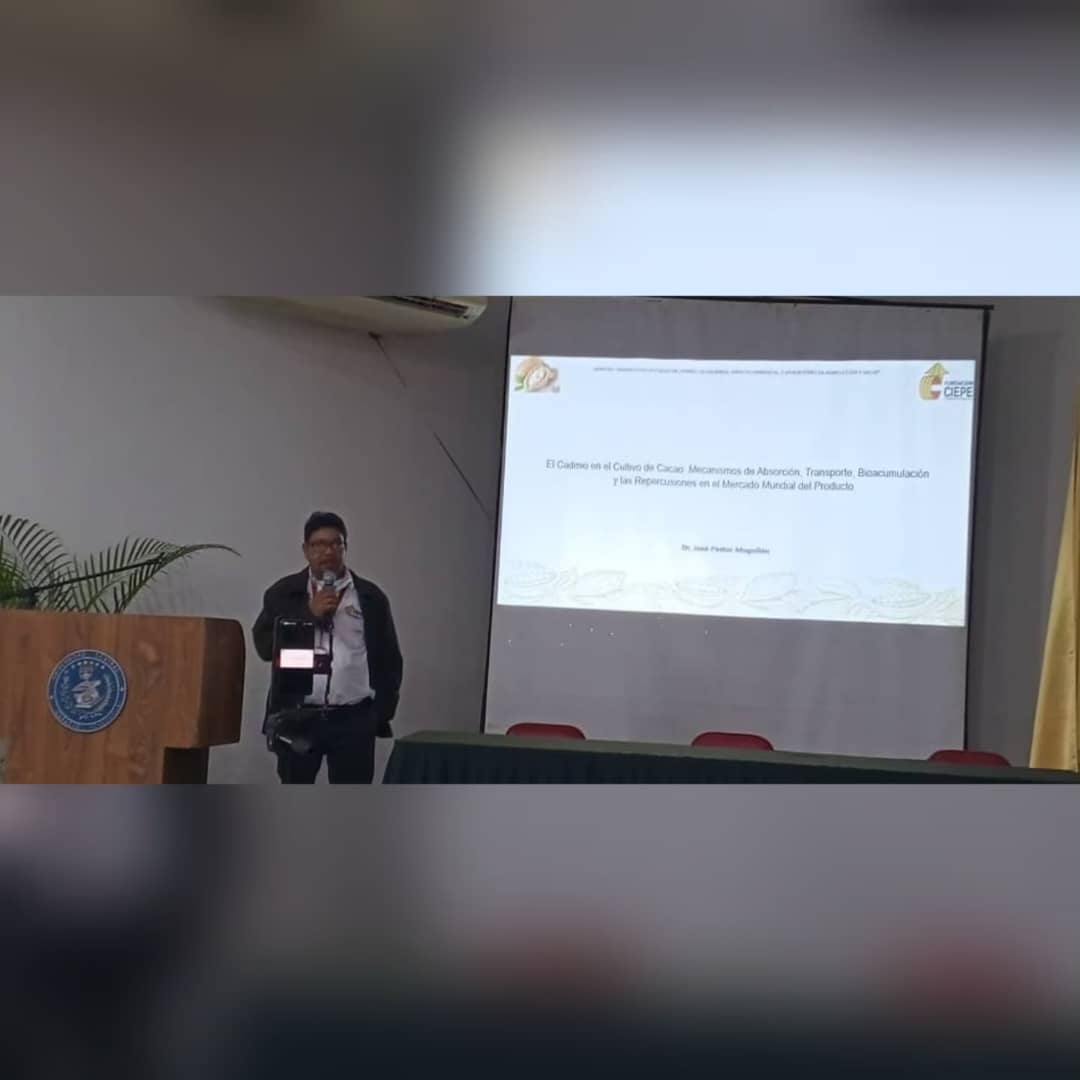 Imagen adicional