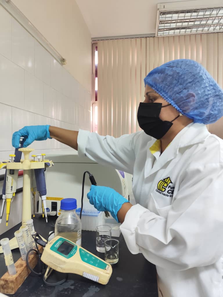 Imagen adicional