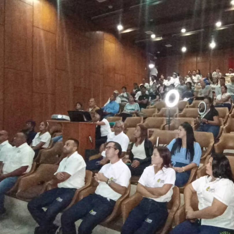 Imagen adicional