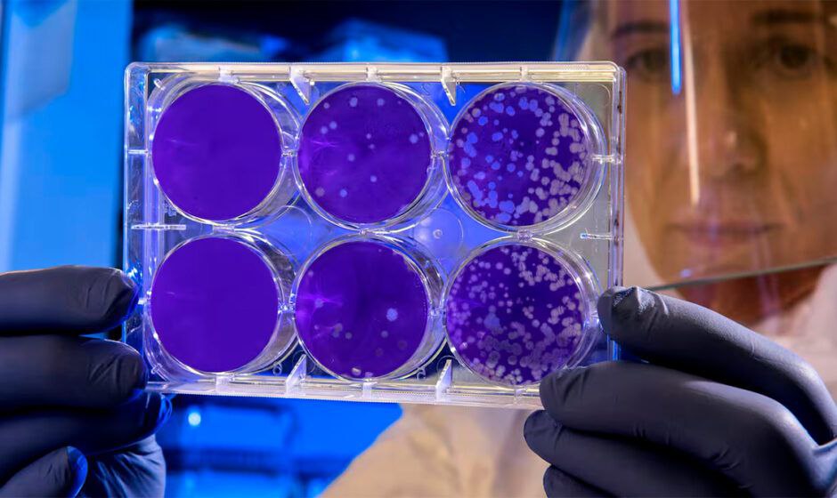 Biobots y el "tercer estado": nuevo horizonte para la evolución y la medicina.