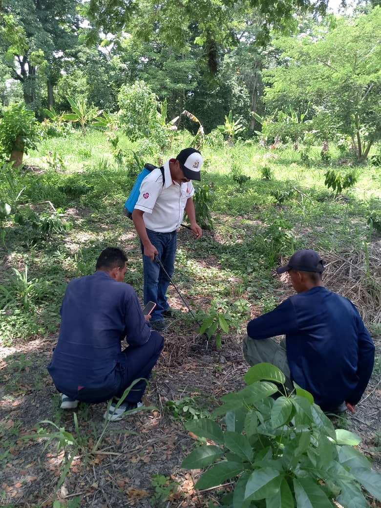 La Fundación CIEPE, realiza Asistencia Técnica a productores del municipio San Felipe.