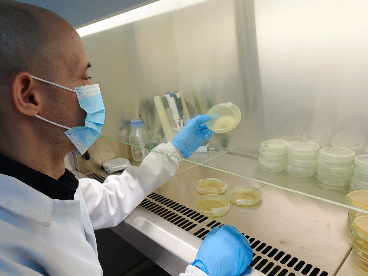 Desde el Ministerio del Poder Popular para Ciencia y Tecnología la Fundación INZIT desarrolla proyecto para promover uso de bioinsumos en la producción agrícola.