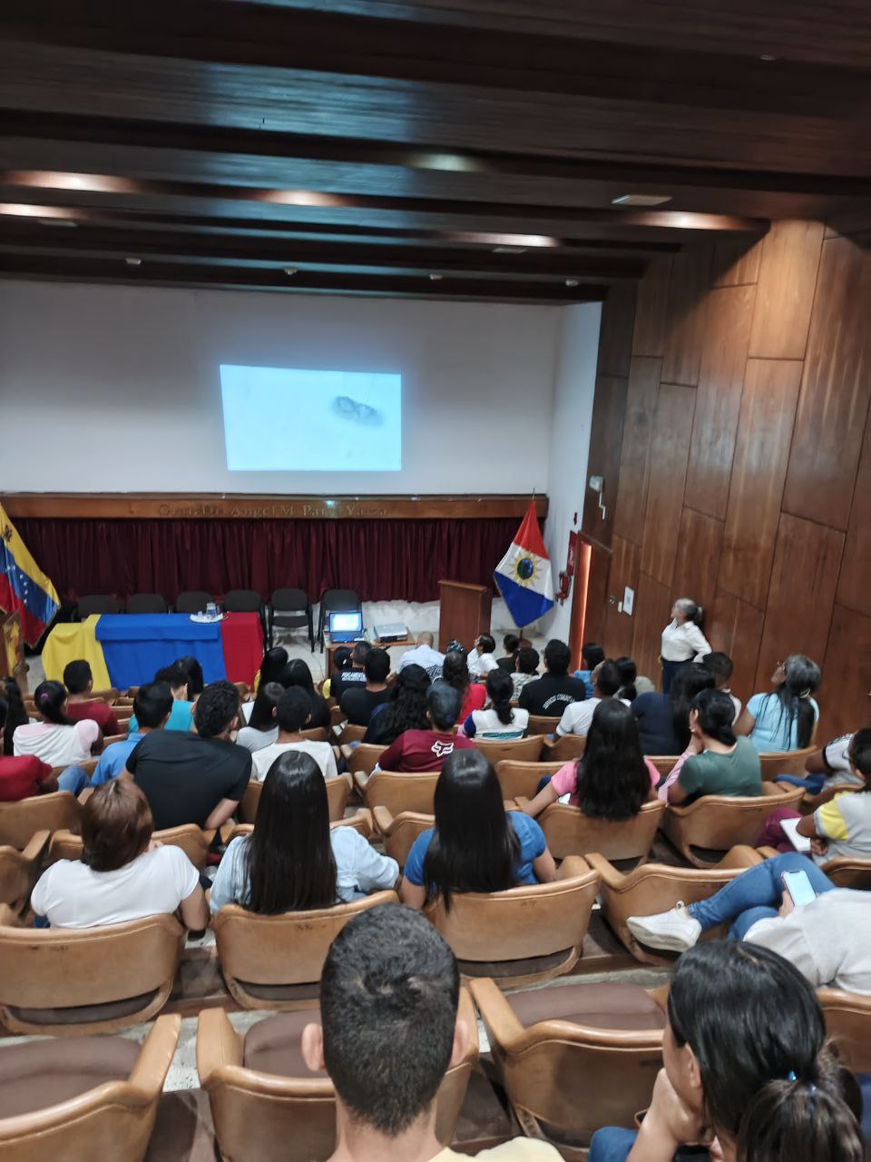 Imagen adicional