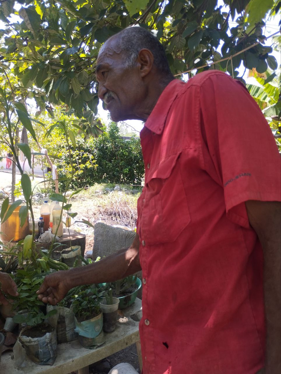 La Fundación CIEPE impulsa los Sistemas Agroforestales en la Base de Misiones Fundo El Carmen.