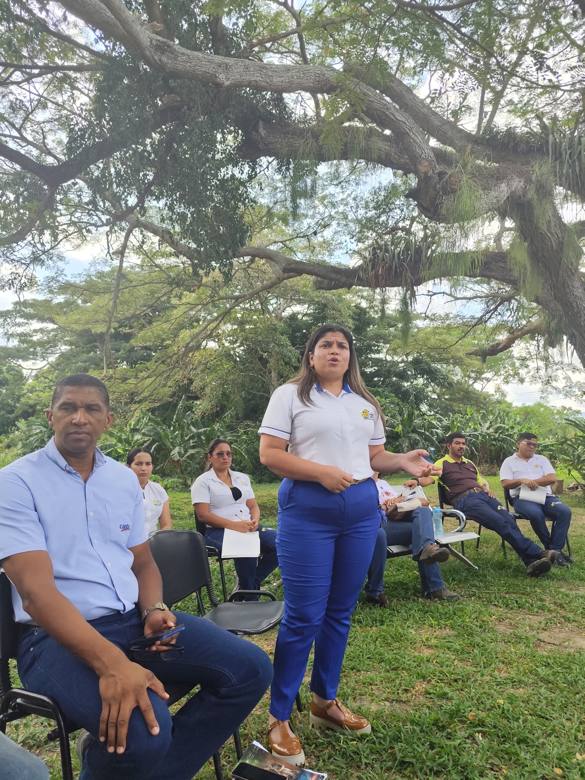 Imagen adicional