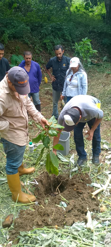 Fundación CIEPE atiende productores del sector Aguacatal municipio Cocorote-Yaracuy.