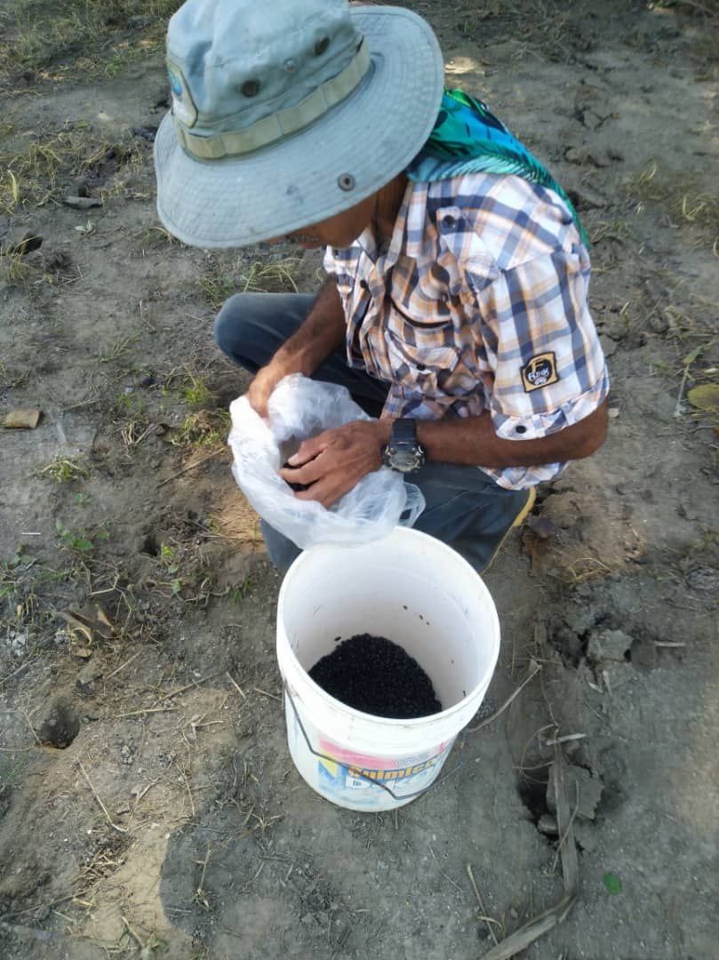 Fundación CIEPE imparte conocimientos a productores de la comuna socialista agroecológica Simón Rodríguez.