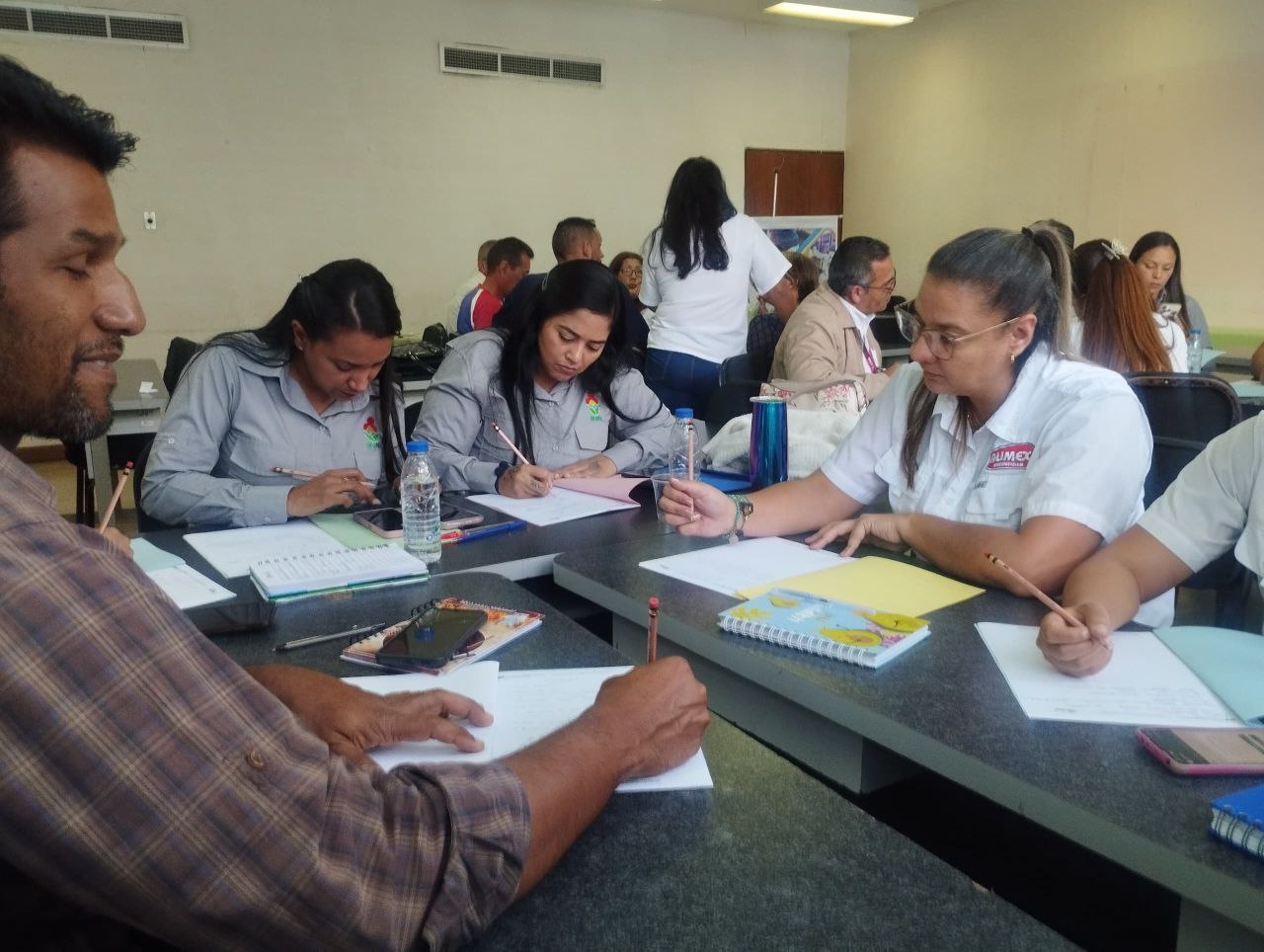 Imagen adicional