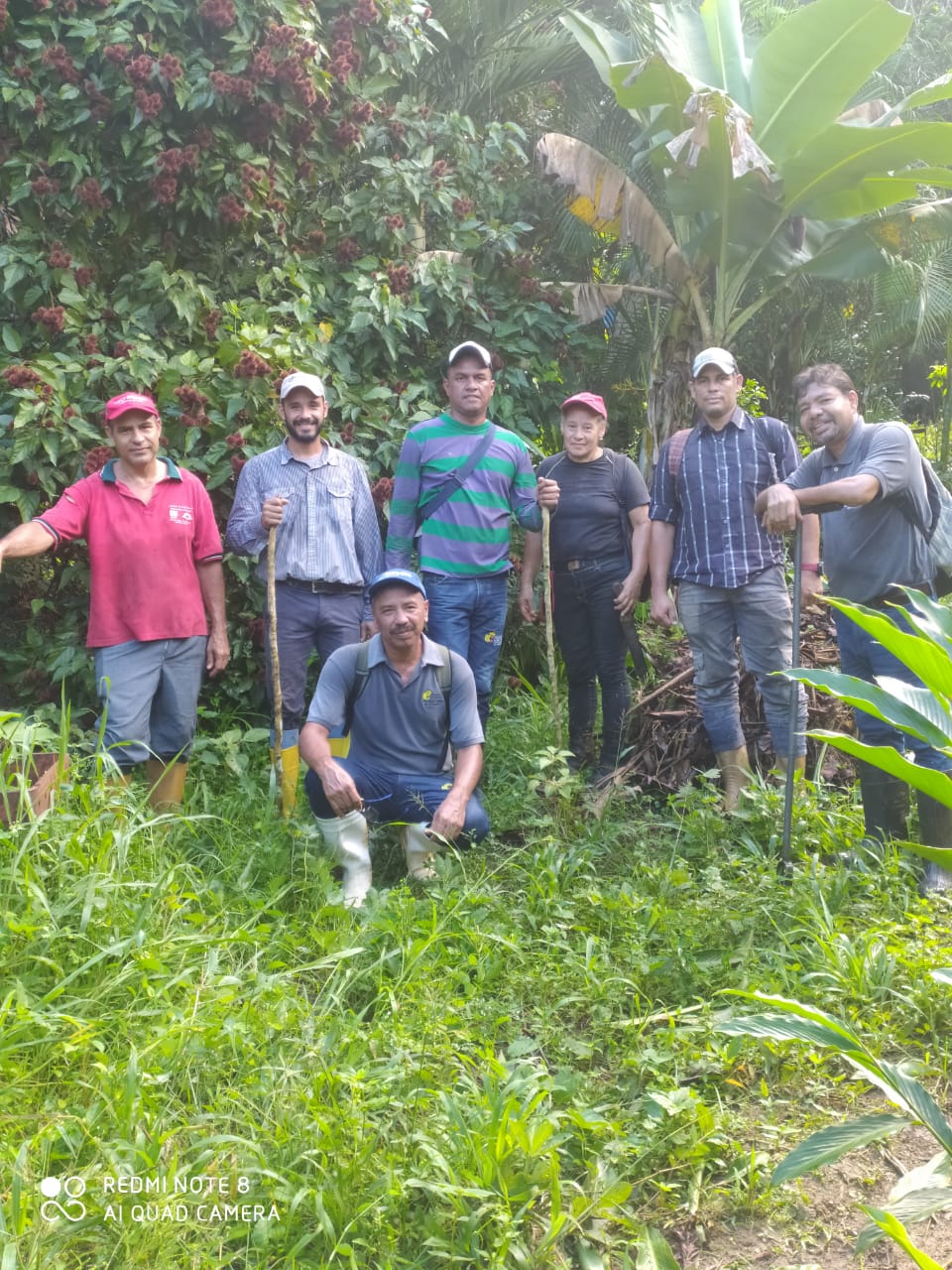 Fundación CIEPE realiza taller sobre: Técnicas de muestreo de suelos en cultivos de café y cacao a productores agricolas.