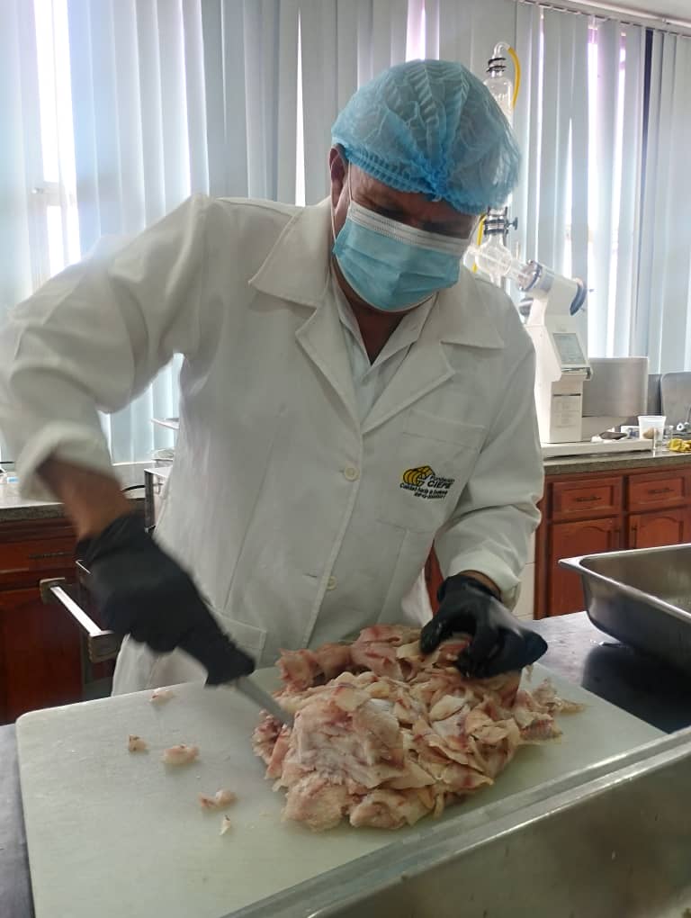 Fundación CIEPE promueve la elaboración de alimentos sostenibles a partir de la tilapia (Oreochromis niloticus)