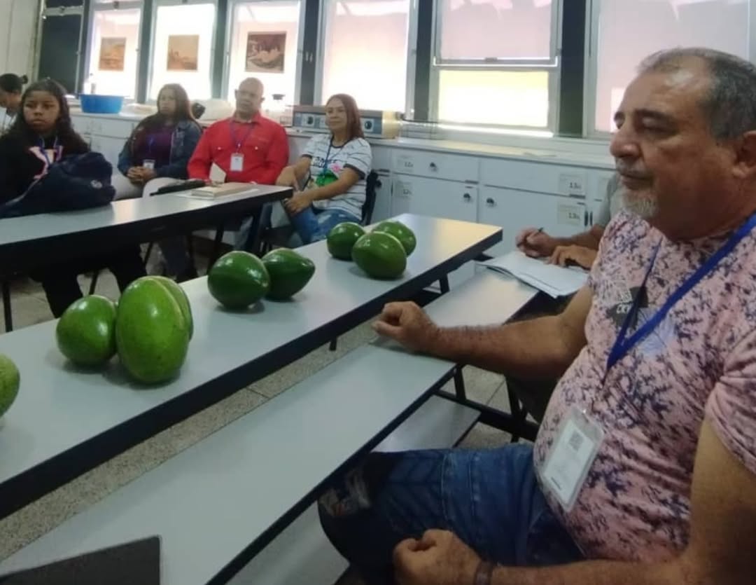 Fundación CIEPE fomenta la caracterización de variedades de aguacate en Yaracuy
