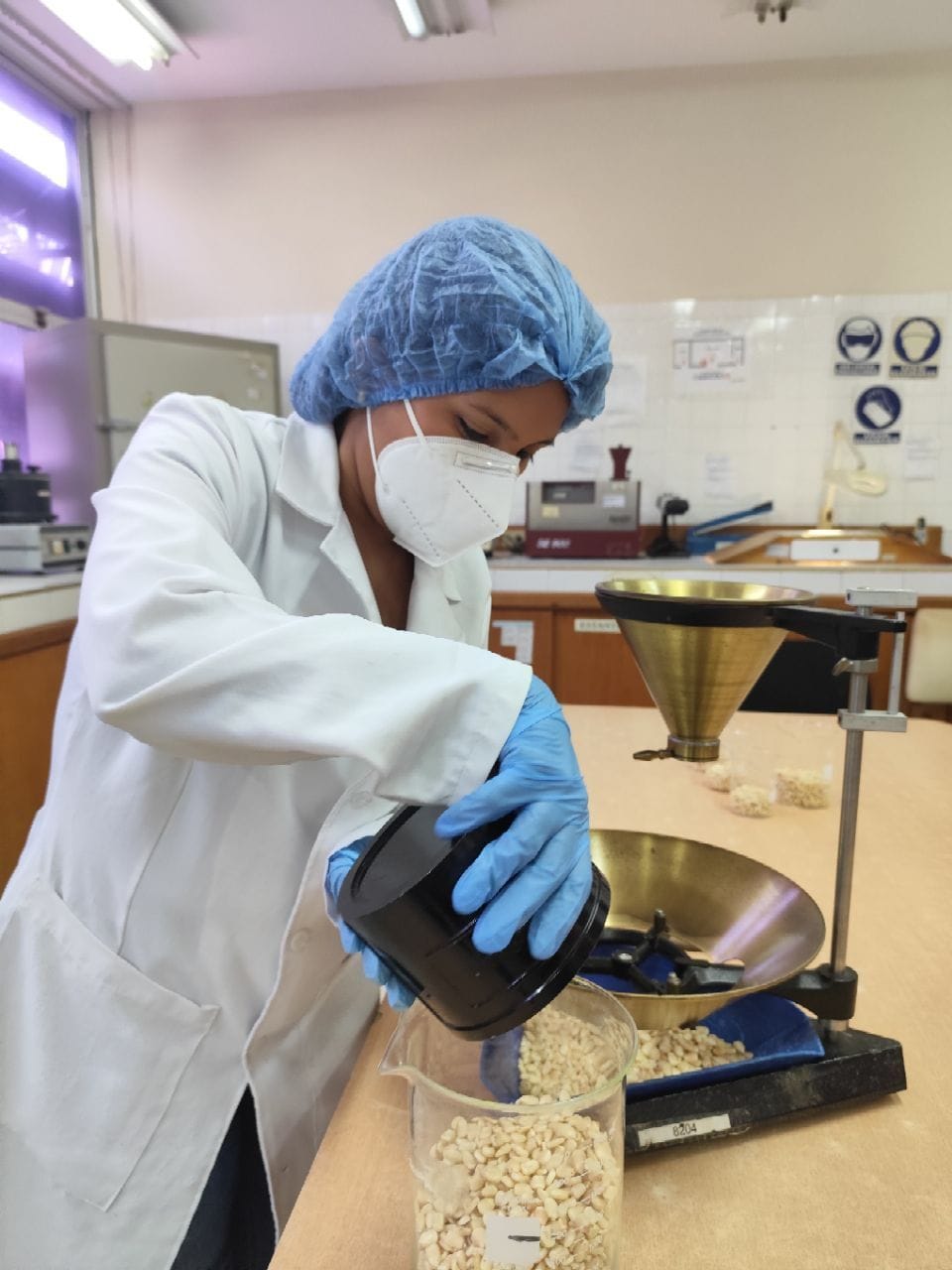 La Fundación CIEPE realizó el Conversatorio Día Mundial de los Cereales ''Nutrición y Sostenibilidad'.