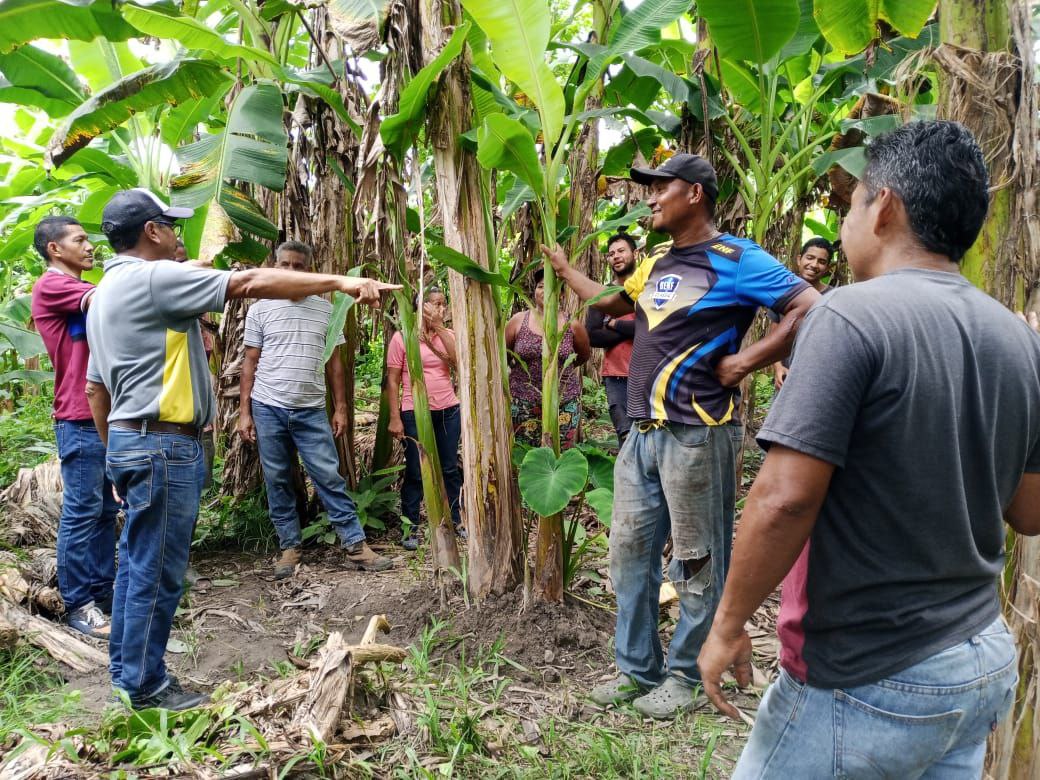 Fundación CIEPE y productores agrícolas trabajan por un modelo agrícola sostenible en Yaracuy.
