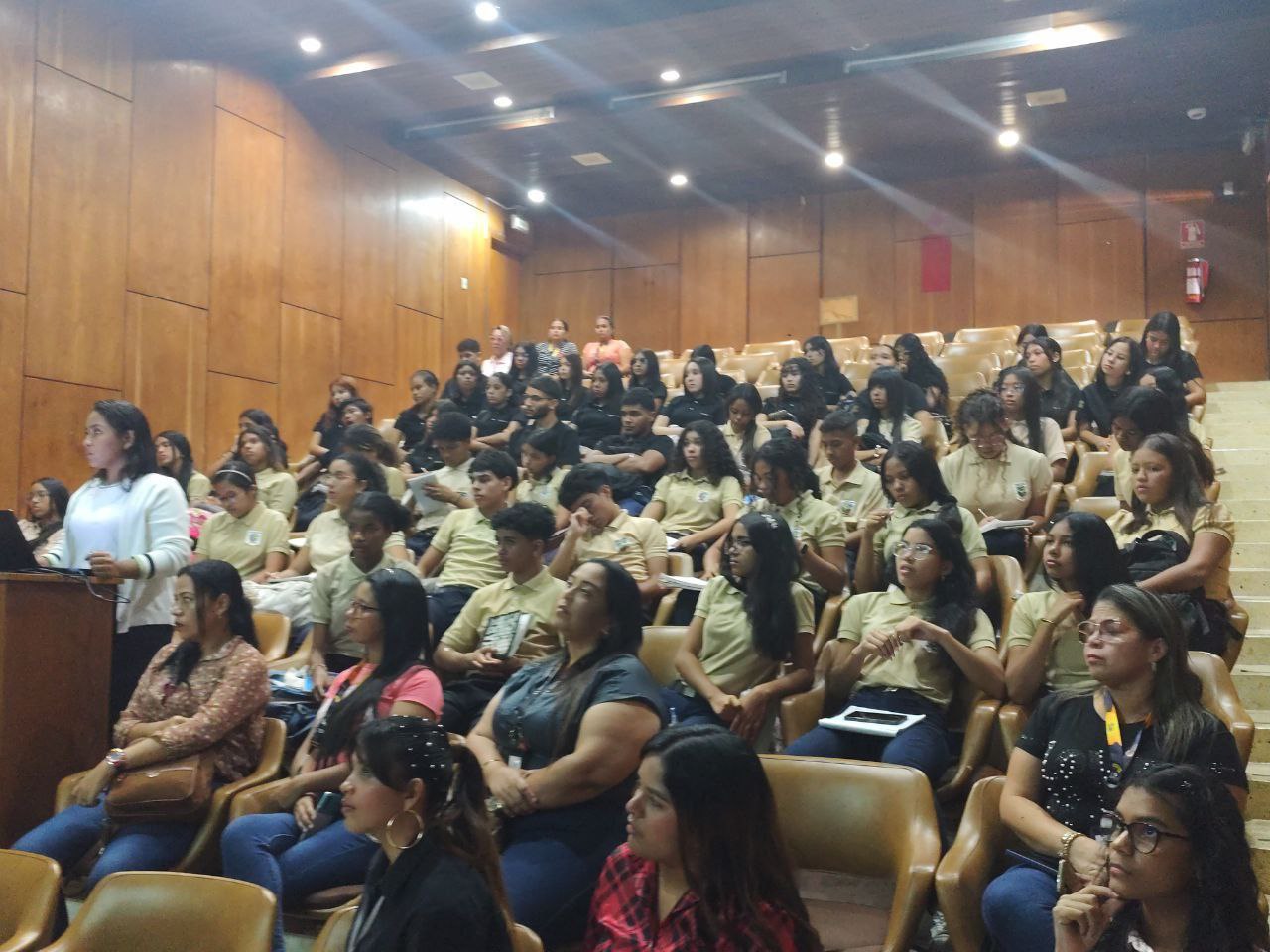 Imagen adicional