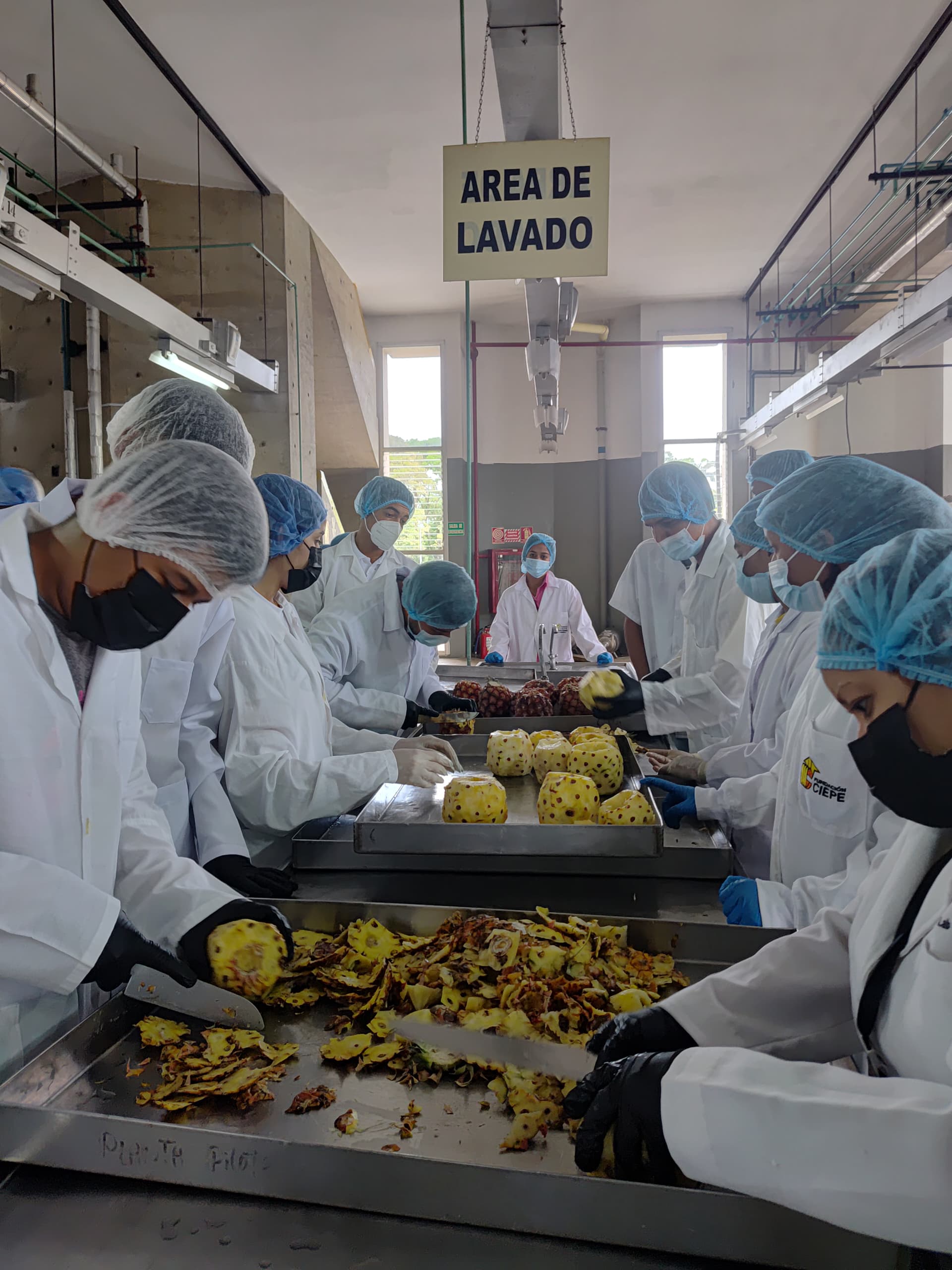 Fundación CIEPE forma a estudiantes de la UPTYAB en elaboración de vinos