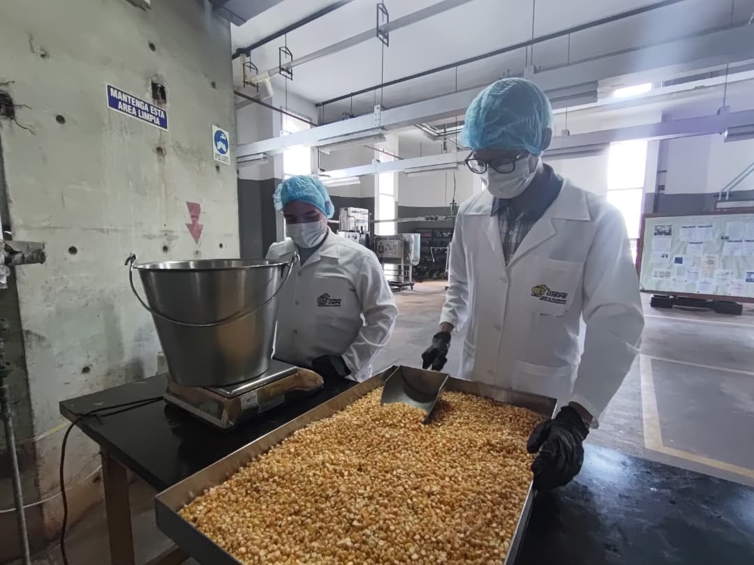 La Fundación CIEPE estandariza proceso tecnológico para la obtención de harina de maíz tostado (Fororo)