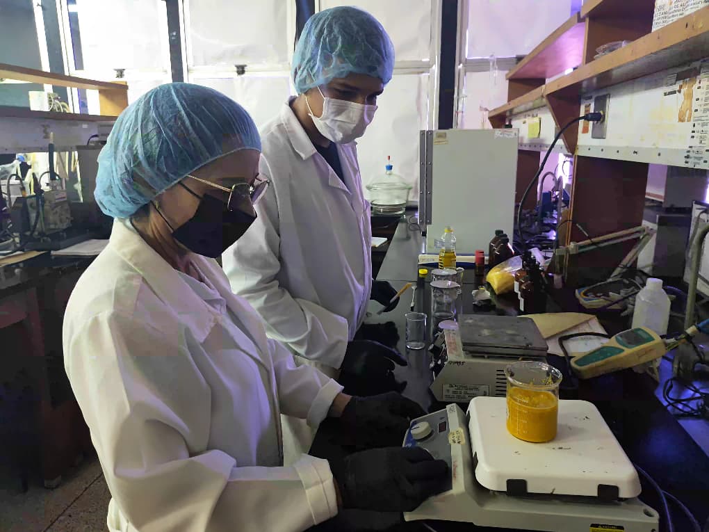 Estudiante universitario desarrolla investigación en el área de las hortalizas para su trabajo de pasantías