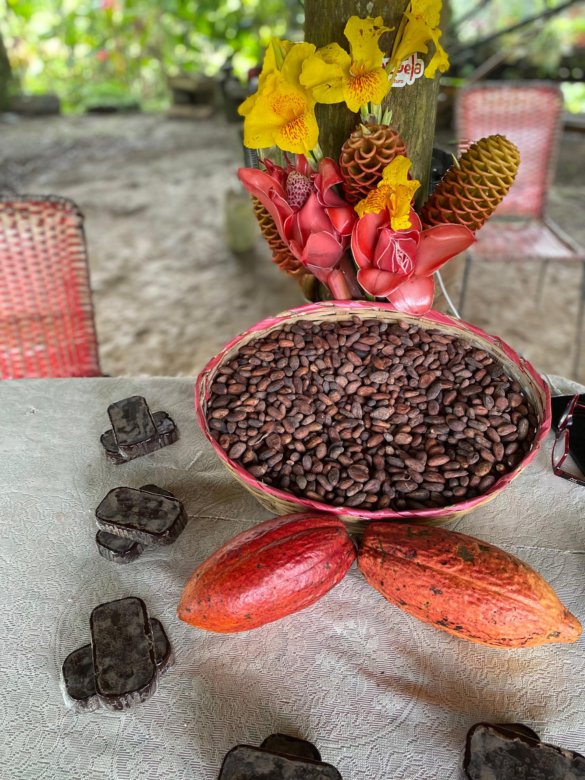 Fundación CIEPE dicta taller sobre buenas prácticas en el procesamiento artesanal de cacao en La Trinidad