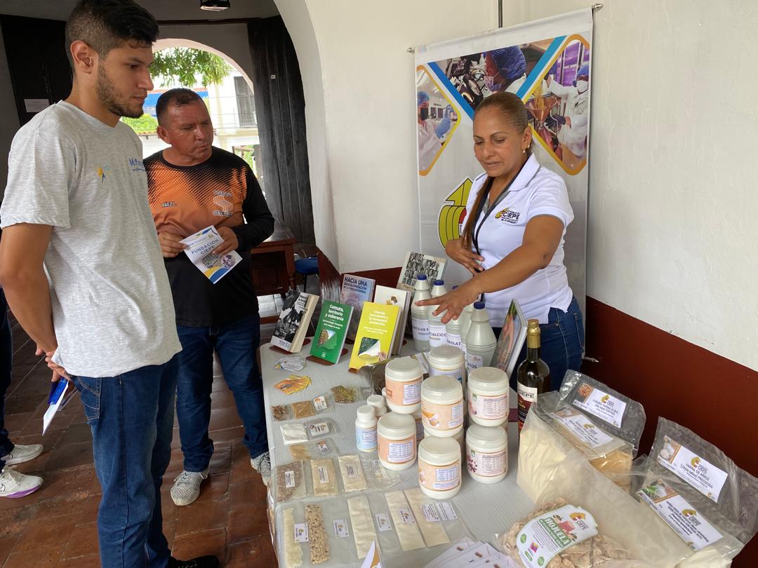 Imagen adicional