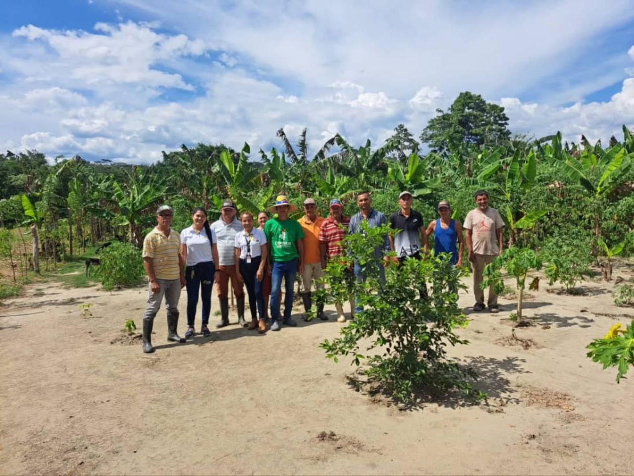 MINCyT y Fundación CIEPE fortalecen la producción de banano y plátano en el municipio Bolívar