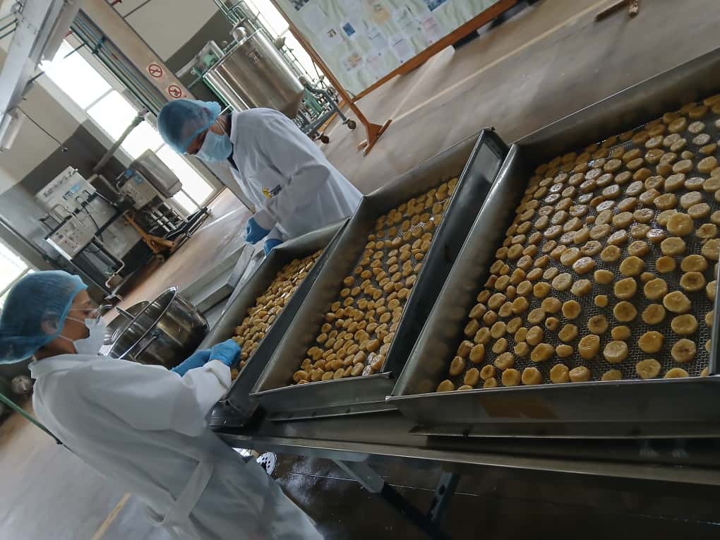 Fundación CIEPE elabora productos misceláneos como elementos funcionales que optimizan el bienestar en el terreno