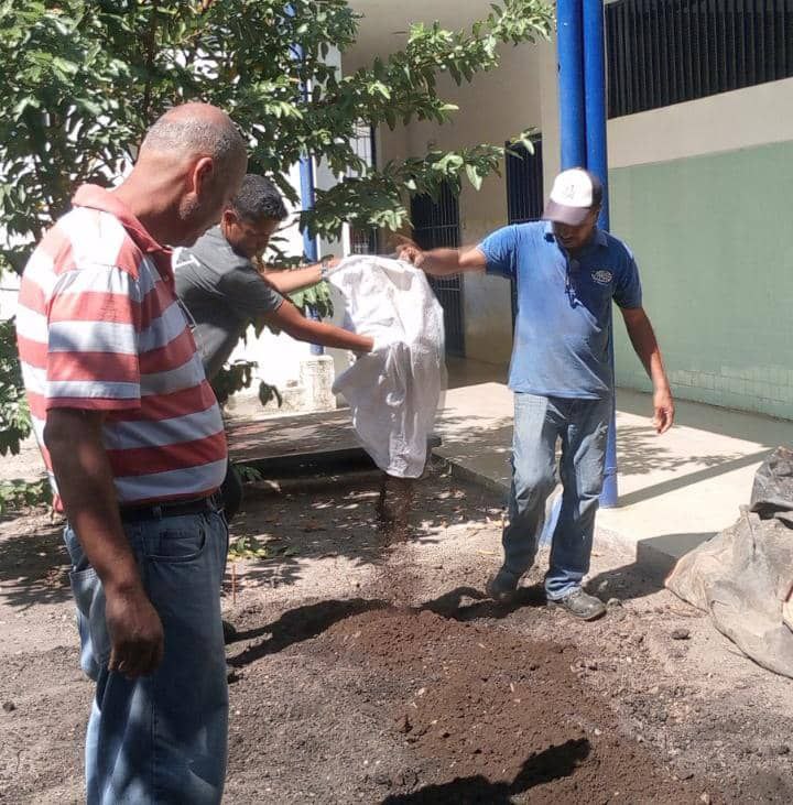 Imagen adicional