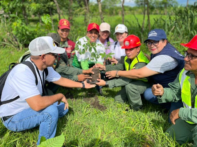 Personal de la Fundación CIEPE se sumó a jornada de reforestación en el municipio Independencia