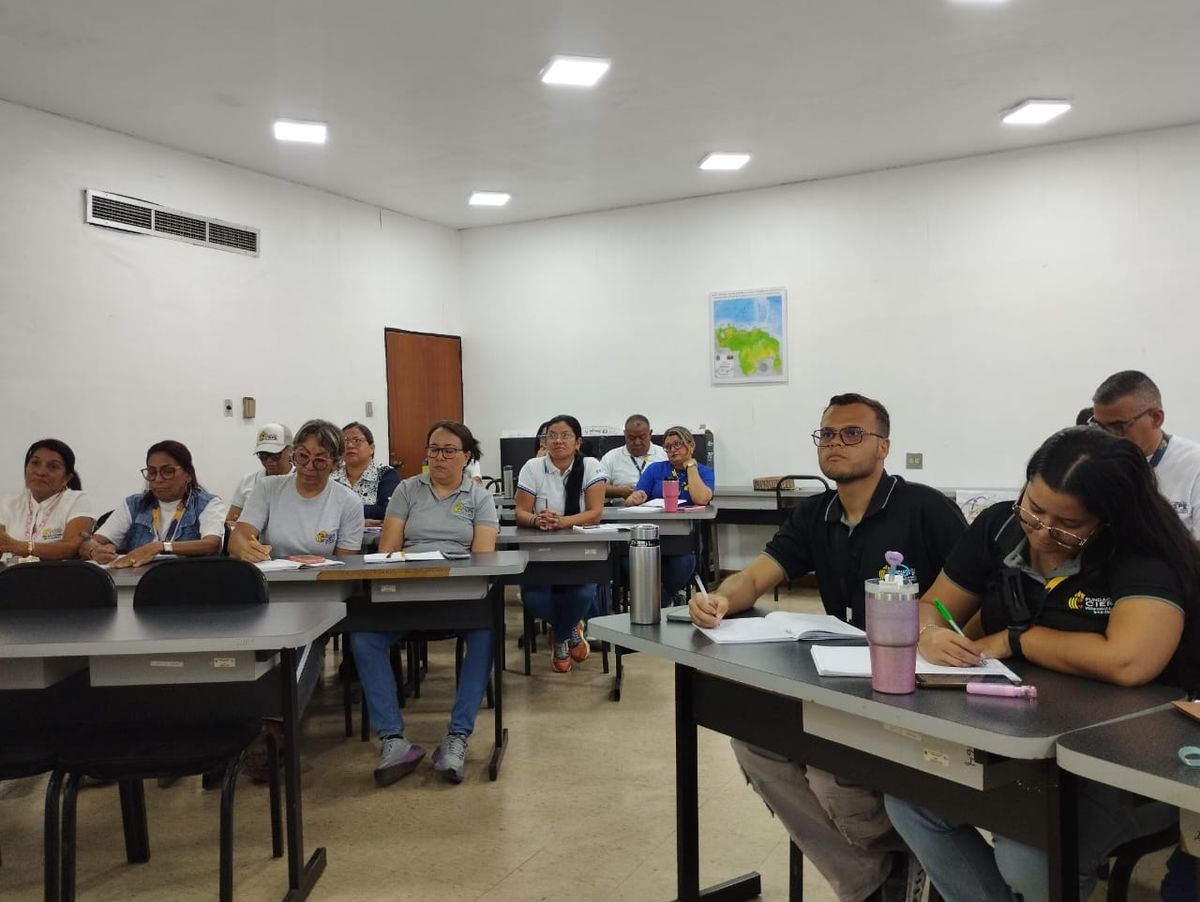 Imagen adicional
