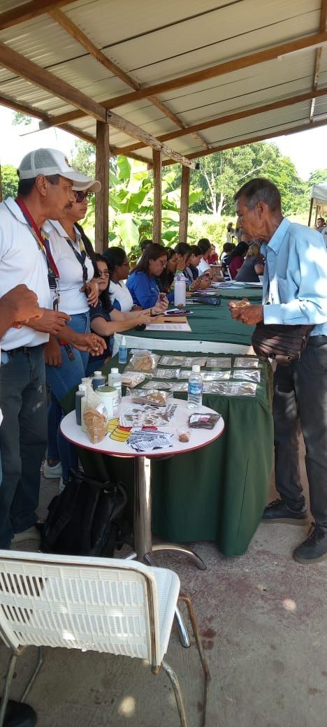 Imagen adicional